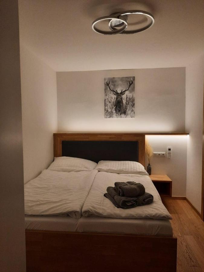 Mini-Apartment Адмонт Екстериор снимка